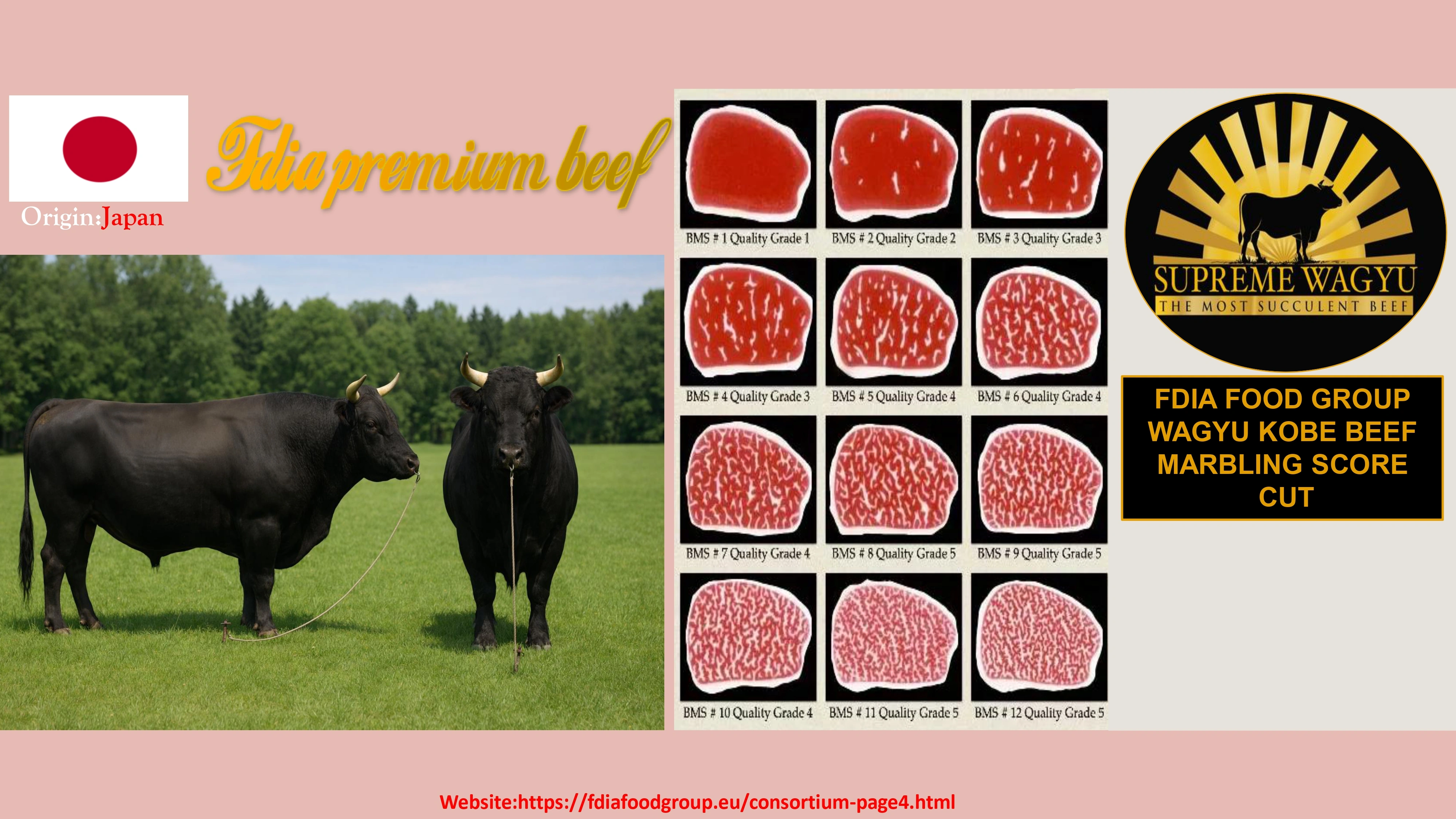 meat (12)